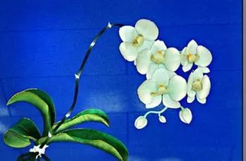 承德各縣特產知多少？調查稱63.4%市民未曾詳悉